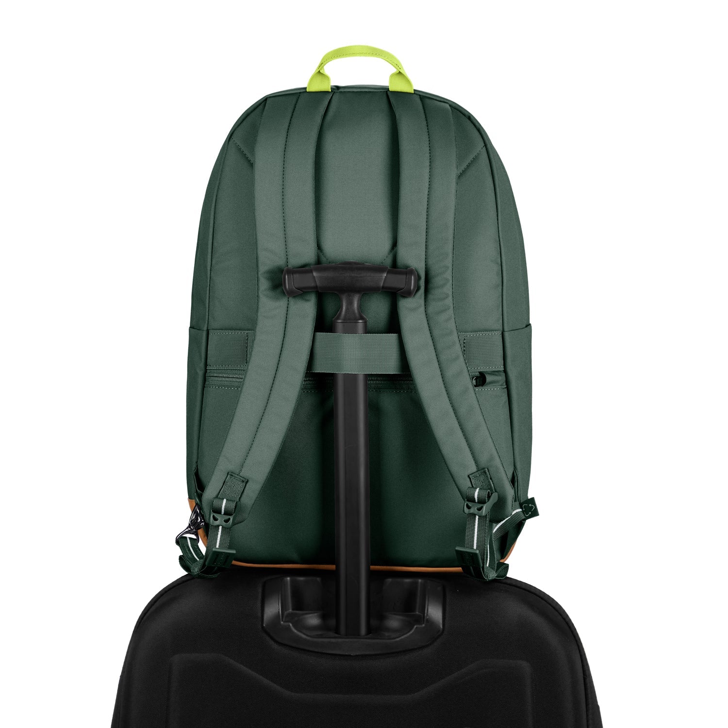 Thumbnail 75